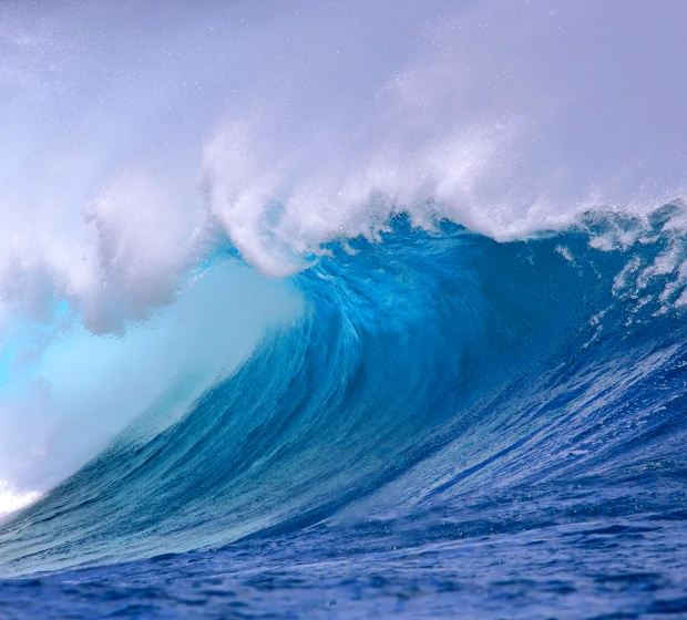 Seawater Desalination