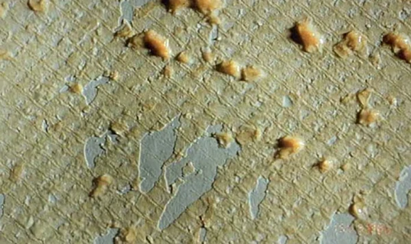 Photographs of the membrane surface after dissection of the membrane element