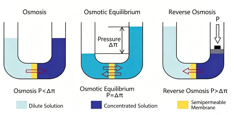 Schematic diagram of reverse osmosis